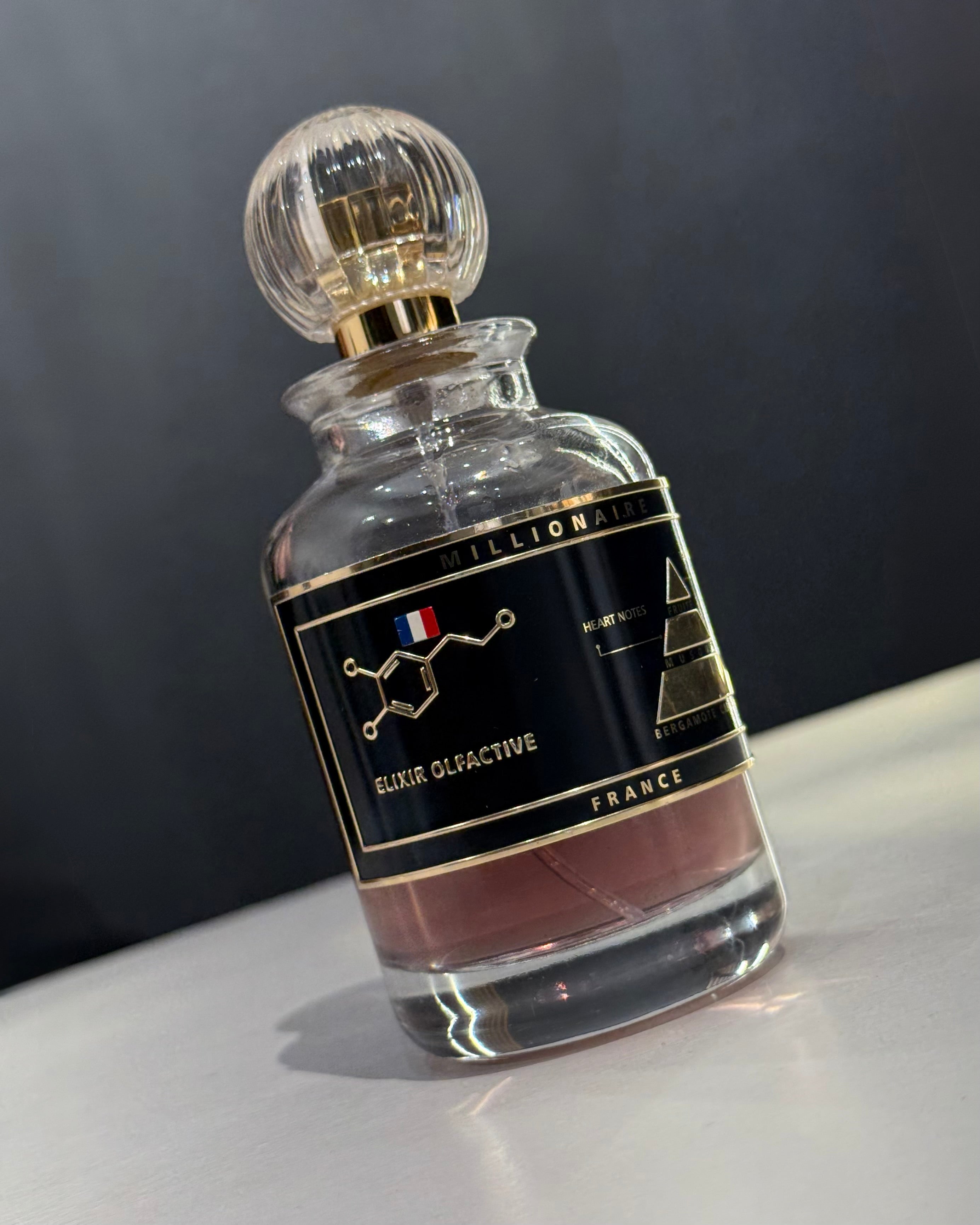 GEVILL FRANCE MILLIONAIRE